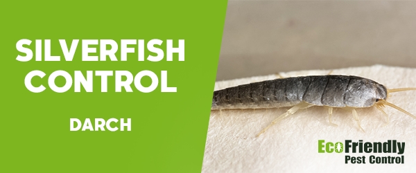 Silverfish Control Darch 