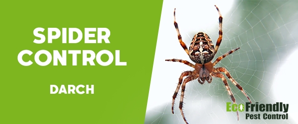 Spider Control Darch 