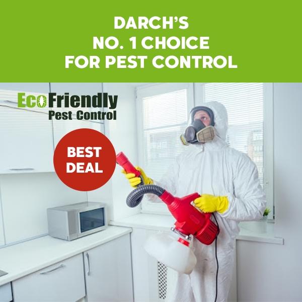 Pest Control Darch 