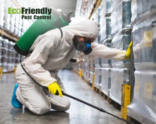 Pest Control service