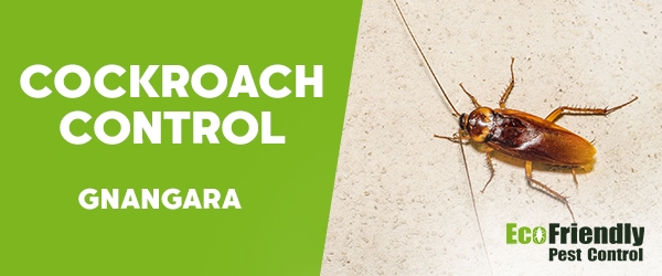 Cockroach Control  Gnangara