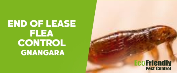 End of Lease Flea Control  Gnangara