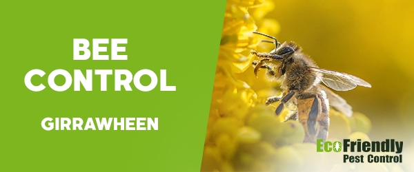 Bee Control Girrawheen 