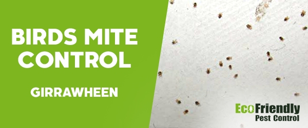 Bird Mite Control Girrawheen 