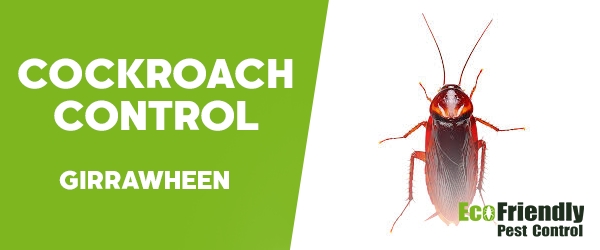 Cockroach Control Girrawheen  