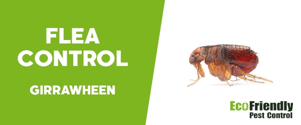 Fleas Control Girrawheen 