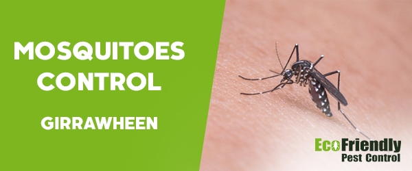 Mosquitoes Control Girrawheen 