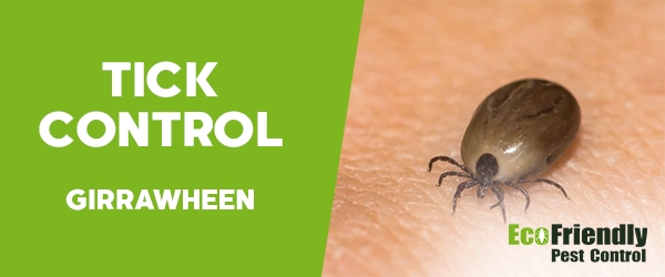 Ticks Control Girrawheen 