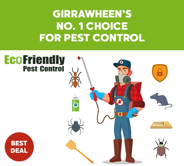 Pest Control Girrawheen 