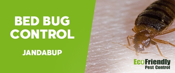 Bed Bug Control Jandabup