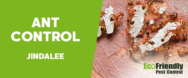 Ant Control  Jindalee