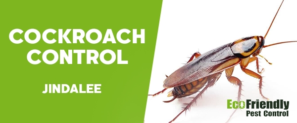 Cockroach Control  Jindalee