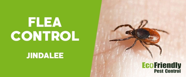 Fleas Control  Jindalee