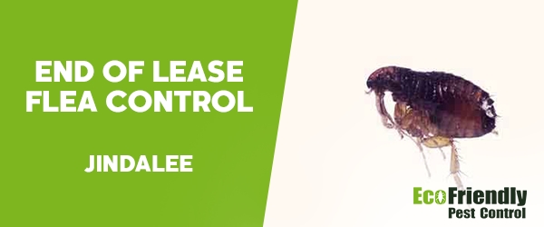 End of Lease Flea Control  Jindalee