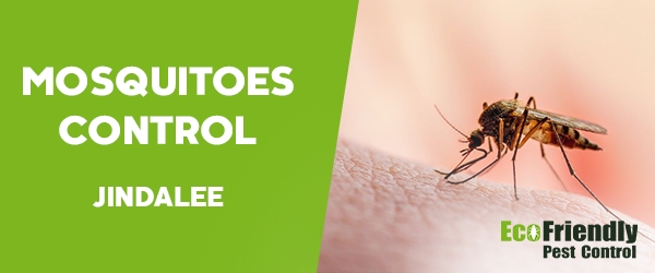 Mosquitoes Control  Jindalee