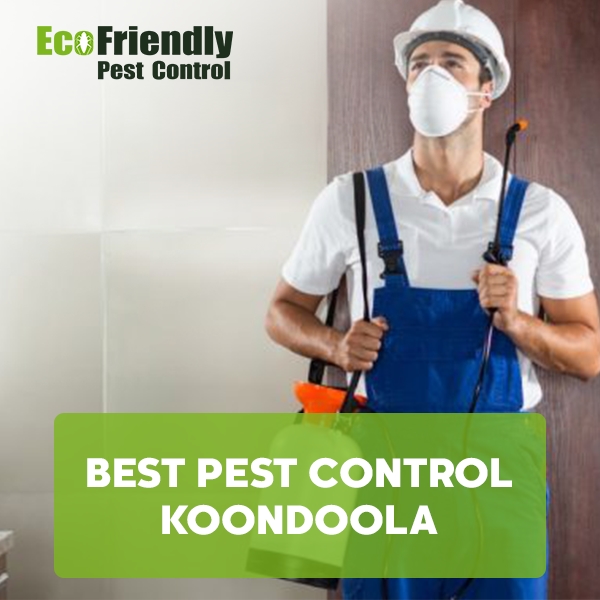 Best Pest Control Henley Brook 