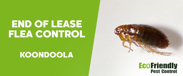 End of Lease Flea Control Koondoola 