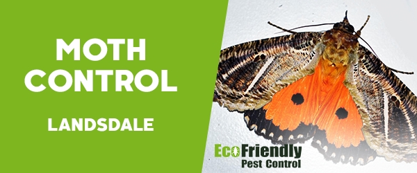 Pest Control Landsdale