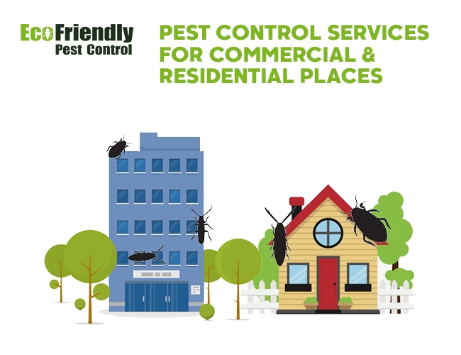 Pest Control Landsdale