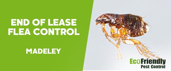 End of Lease Flea Control Madeley 