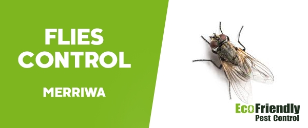 Flies Control Merriwa 