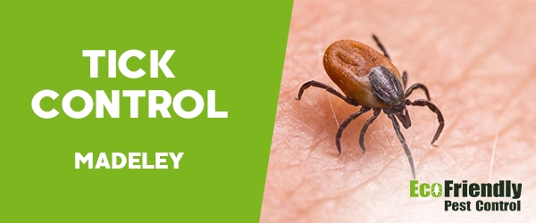 Ticks Control Madeley 