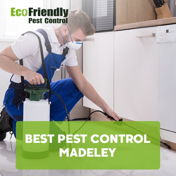 Best Pest Control Madeley 
