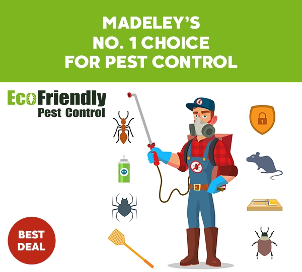 Pest Control Madeley 