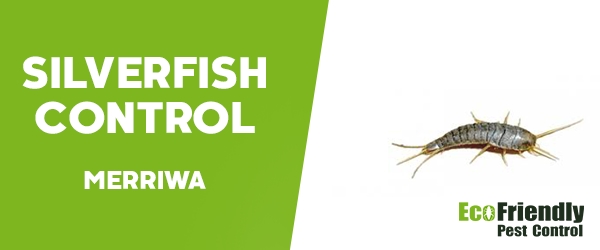 Silverfish Control Merriwa 