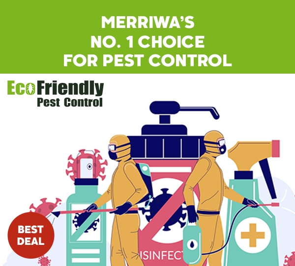 Pest Control Merriwa 