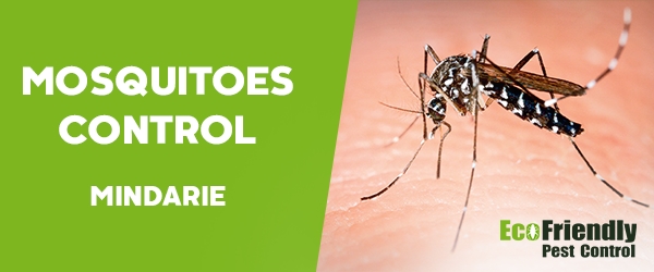 Mosquitoes Control  Mindarie