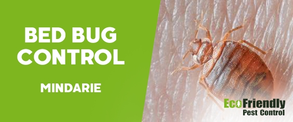 Bed Bug Control  Mindarie