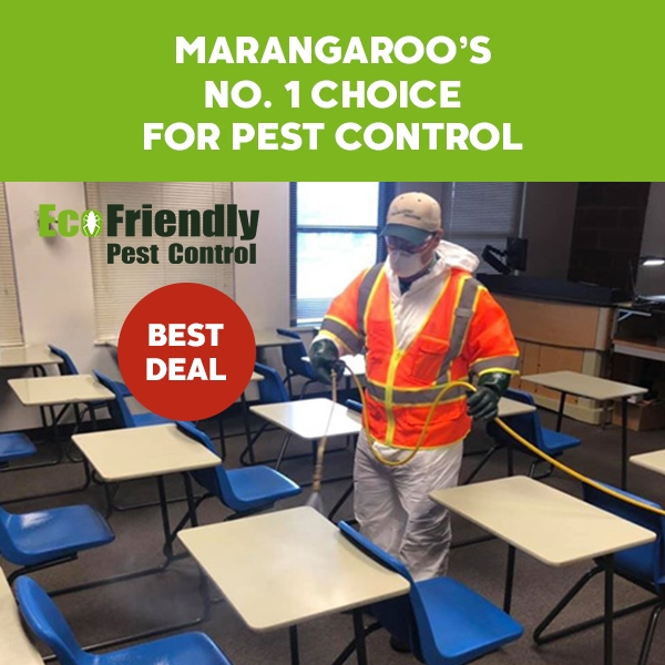 Pest Control Marangaroo