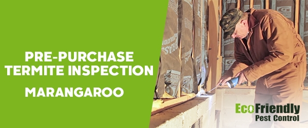 Pre-purchase Termite Inspection Marangaroo