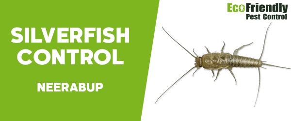 Silverfish Control Neerabup 