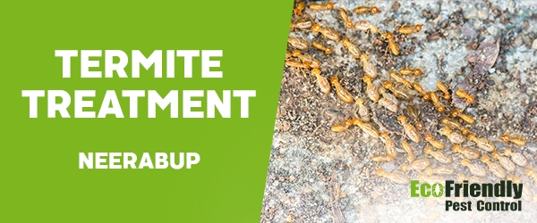 Termite Control Neerabup 