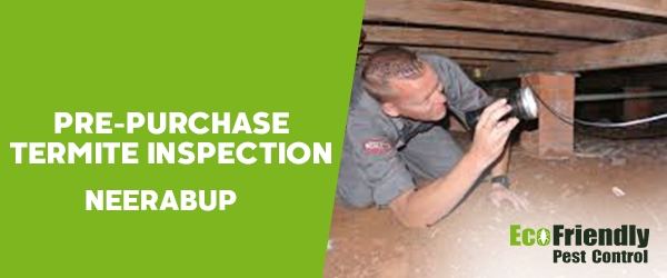 Pre-purchase Termite Inspection Neerabup 