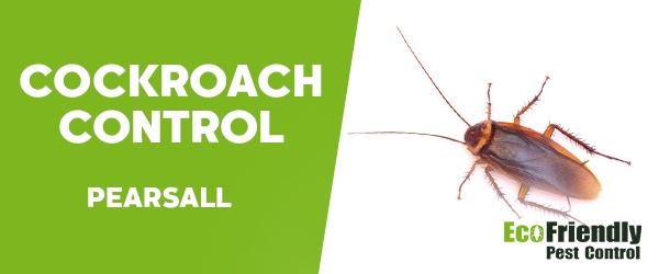 Cockroach Control Pearsall  