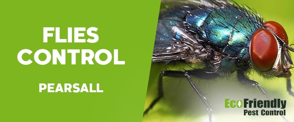 Flies Control Pearsall 