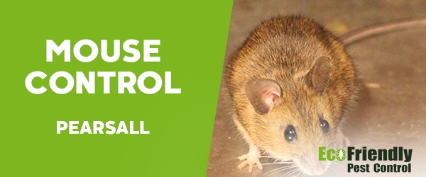 Mouse Control Pearsall 