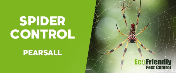 Spider Control Pearsall 