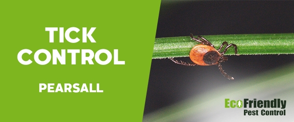 Ticks Control Pearsall 