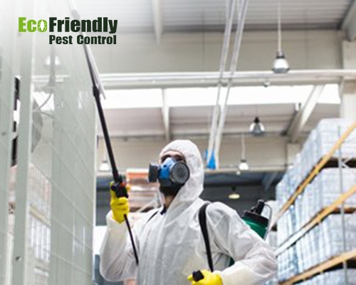 Pest Control Pearsall 