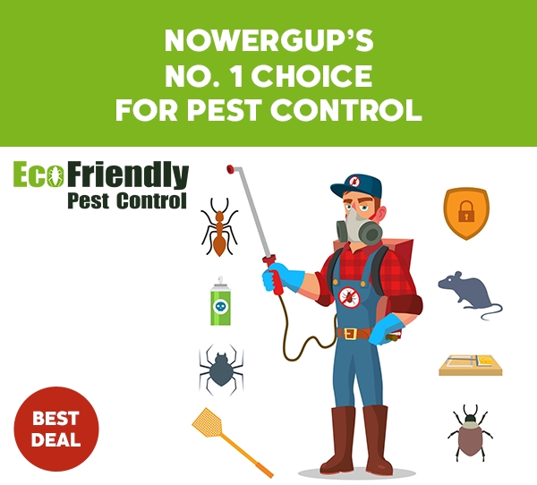 Pest Control Nowergup