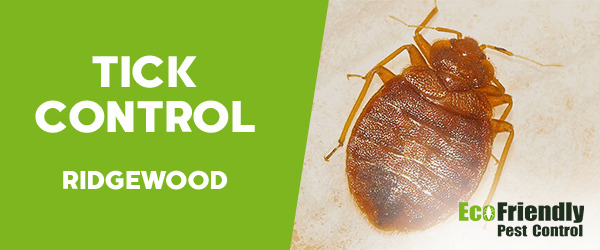 Ticks Control Ridgewood 