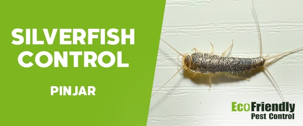 Silverfish Control  Pinjar