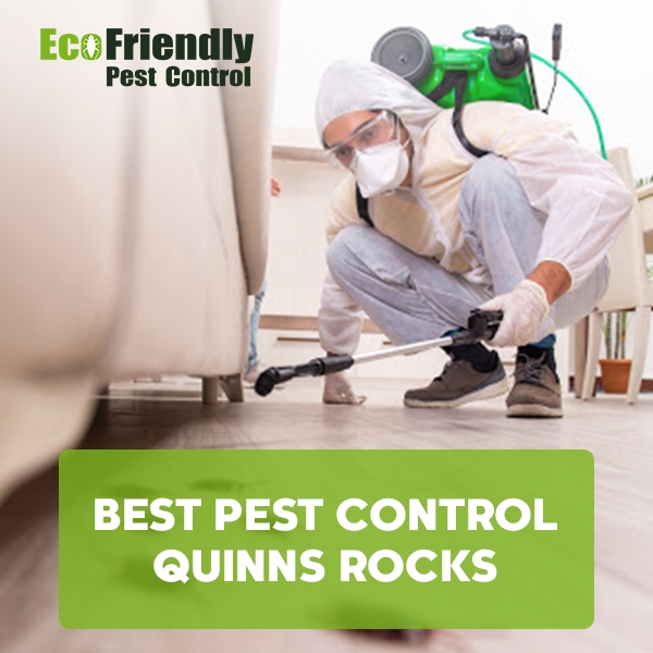 Best Pest Control Quinns Rocks