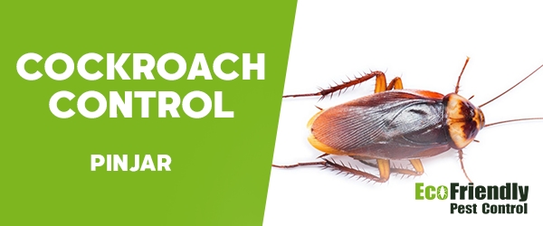 Cockroach Control  Pinjar