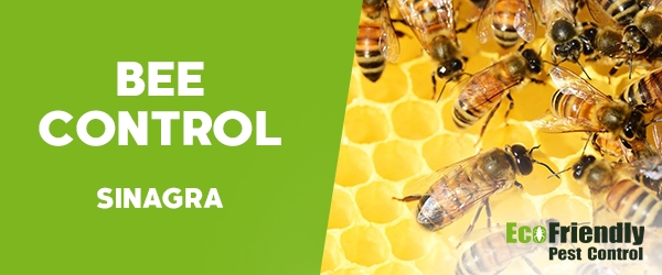 Bee Control Sinagra 