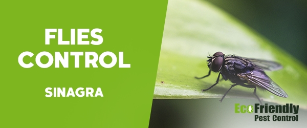 Flies Control Sinagra 